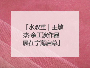 水双重｜王敏杰·余王波作品展在宁海启幕