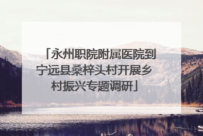 永州职院附属医院到宁远县桑梓头村开展乡村振兴专题调研