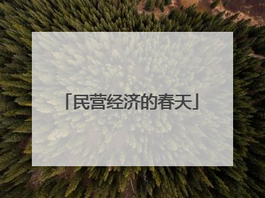 民营经济的春天