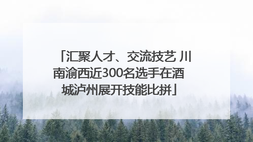 汇聚人才、交流技艺 川南渝西近300名选手在酒城泸州展开技能比拼
