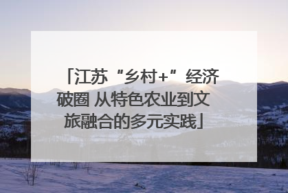 江苏“乡村+”经济破圈 从特色农业到文旅融合的多元实践