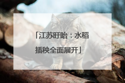 江苏盱眙：水稻插秧全面展开