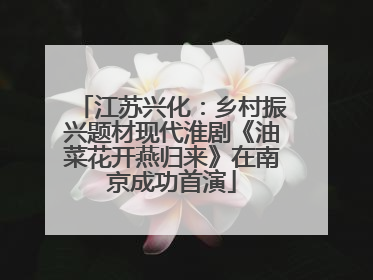 江苏兴化：乡村振兴题材现代淮剧《油菜花开燕归来》在南京成功首演