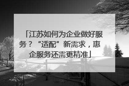 江苏如何为企业做好服务？“适配”新需求，惠企服务还需更精准
