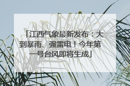 江西气象最新发布：大到暴雨、强雷电！今年第一号台风即将生成