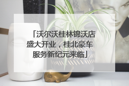 沃尔沃桂林锦沃店盛大开业，桂北豪车服务新纪元来临