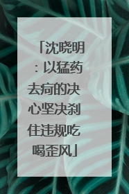 沈晓明：以猛药去疴的决心坚决刹住违规吃喝歪风