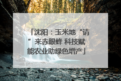 沈阳：玉米地“请”来赤眼蜂 科技赋能农业助绿色增产