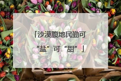 沙漠腹地民勤可“盐”可“甜”