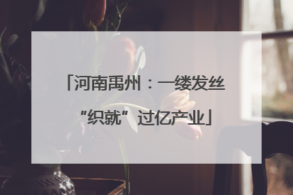 河南禹州：一缕发丝“织就”过亿产业
