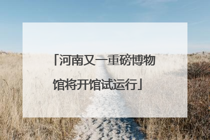 河南又一重磅博物馆将开馆试运行