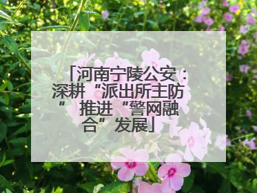 河南宁陵公安：深耕“派出所主防” 推进“警网融合”发展