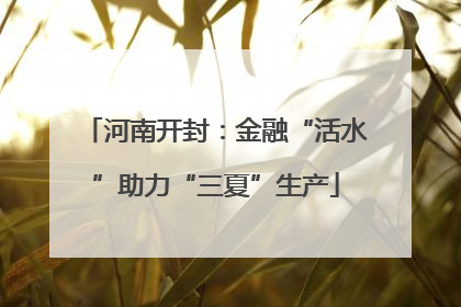 河南开封：金融“活水”助力“三夏”生产