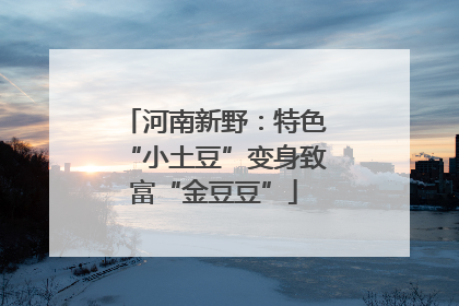 河南新野：特色“小土豆”变身致富“金豆豆”