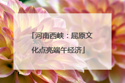 河南西峡：屈原文化点亮端午经济