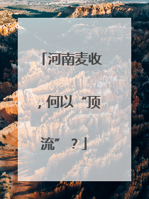 河南麦收，何以“顶流”？