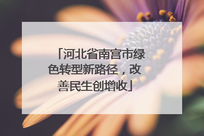 河北省南宫市绿色转型新路径，改善民生创增收