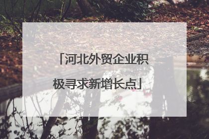 河北外贸企业积极寻求新增长点