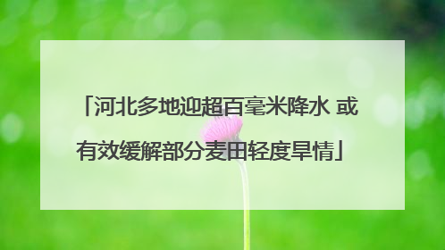 河北多地迎超百毫米降水 或有效缓解部分麦田轻度旱情