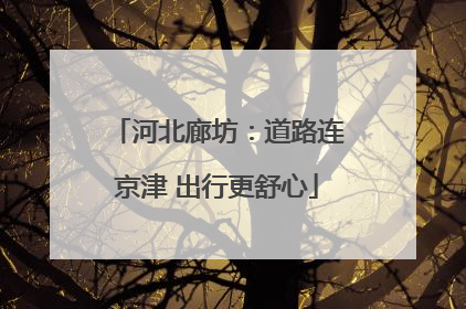 河北廊坊：道路连京津 出行更舒心