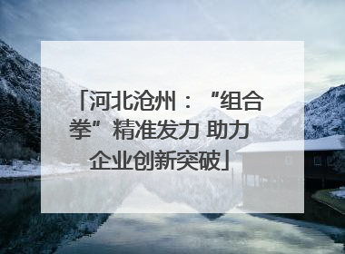 河北沧州：“组合拳”精准发力 助力企业创新突破