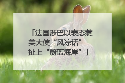法国涉巴以表态惹美大使“风凉话” 扯上“蔚蓝海岸”