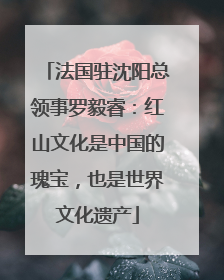 法国驻沈阳总领事罗毅睿：红山文化是中国的瑰宝，也是世界文化遗产