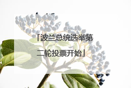 波兰总统选举第二轮投票开始