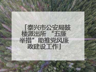 泰兴市公安局鼓楼派出所 “五廉举措”助推党风廉政建设工作