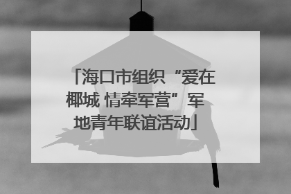 海口市组织“爱在椰城 情牵军营”军地青年联谊活动