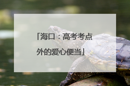 海口：高考考点外的爱心便当
