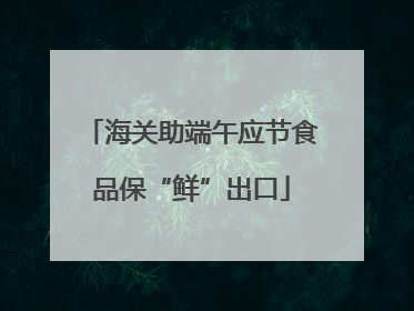 海关助端午应节食品保“鲜”出口