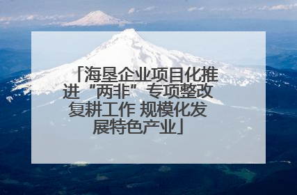 海垦企业项目化推进“两非”专项整改复耕工作 规模化发展特色产业