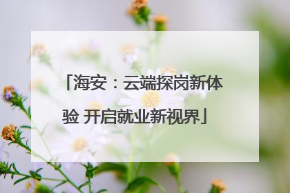 海安：云端探岗新体验 开启就业新视界