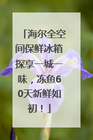 海尔全空间保鲜冰箱探享一城一味，冻鱼60天新鲜如初！
