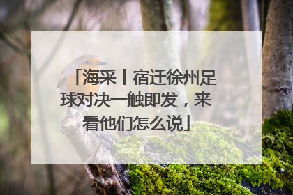 海采丨宿迁徐州足球对决一触即发，来看他们怎么说