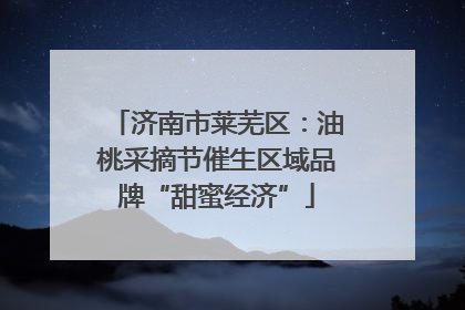 济南市莱芜区：油桃采摘节催生区域品牌“甜蜜经济”