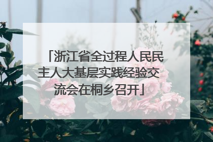 浙江省全过程人民民主人大基层实践经验交流会在桐乡召开