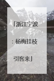 浙江宁波：杨梅挂枝引客来