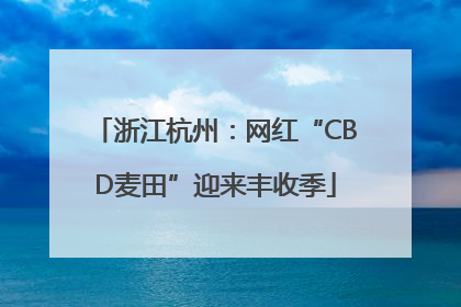 浙江杭州：网红“CBD麦田”迎来丰收季