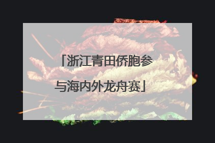 浙江青田侨胞参与海内外龙舟赛