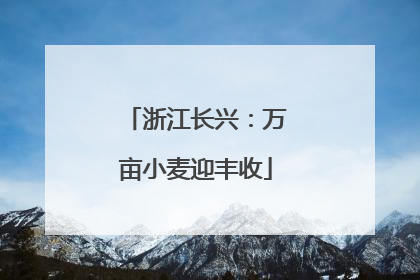 浙江长兴：万亩小麦迎丰收