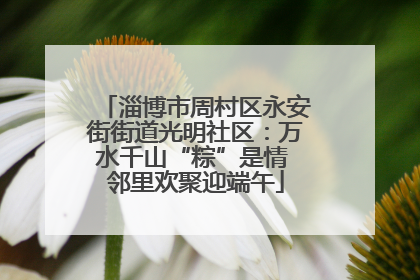 淄博市周村区永安街街道光明社区：万水千山“粽”是情 邻里欢聚迎端午