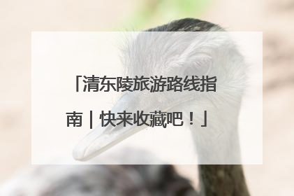 清东陵旅游路线指南｜快来收藏吧！