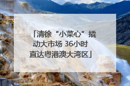 清徐“小菜心”撬动大市场 36小时直达粤港澳大湾区