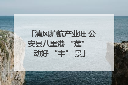 清风护航产业旺 公安县八里港 “莲” 动好 “丰” 景