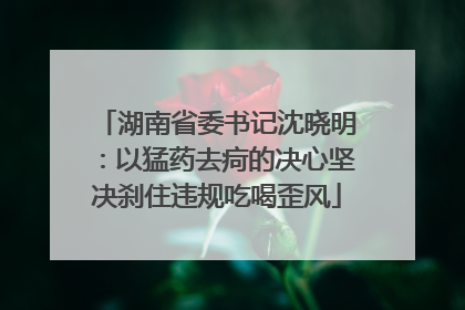 湖南省委书记沈晓明：以猛药去疴的决心坚决刹住违规吃喝歪风