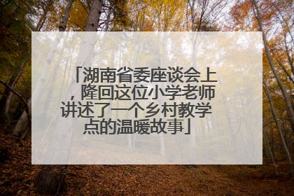 湖南省委座谈会上，隆回这位小学老师讲述了一个乡村教学点的温暖故事