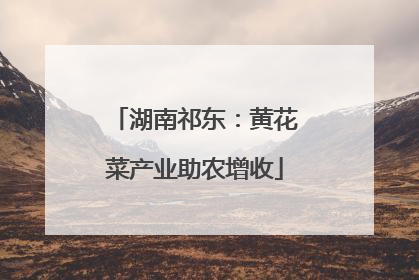 湖南祁东：黄花菜产业助农增收