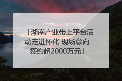 湖南产业带上平台活动走进怀化 现场意向签约超2000万元